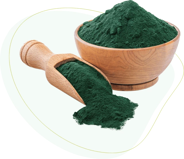 Matcha Extreme excess water