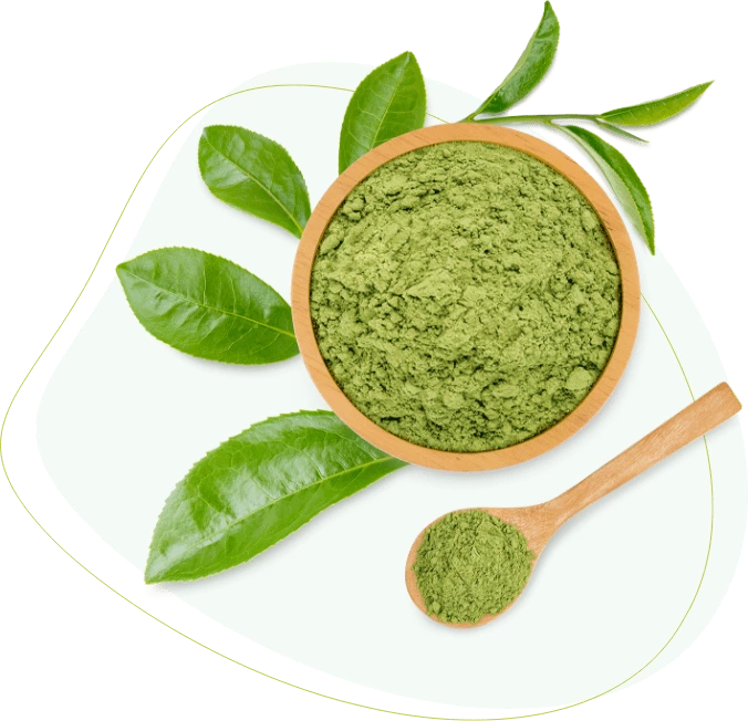 Matcha Extreme ingredients