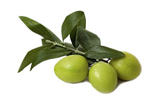 Tonerin extract