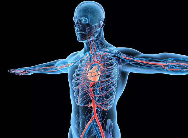 Cardiform vysoký tlak Cardiform vysoký tlak