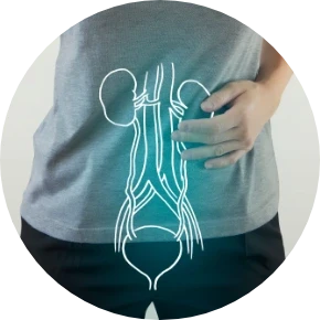Urovico Wirksamkeit Urovico Wirksamkeit
