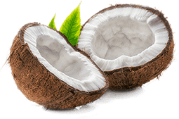 Keto Bullet Ingredienti