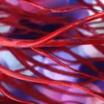 Veinaritin Come funziona