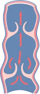 Veinaritin prima del trattamento
