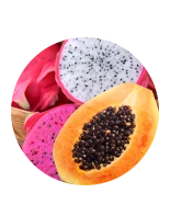 Ideal Slim Ingredienti