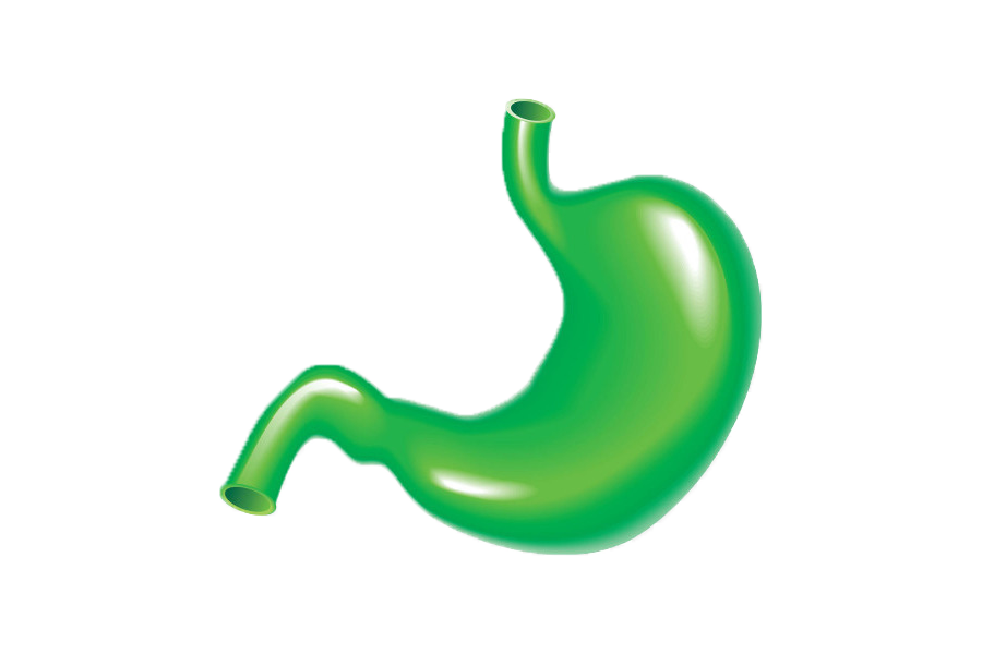 Applicazione di perdita W-Loss