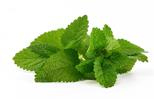 Expansil Cream estensione di prossimità