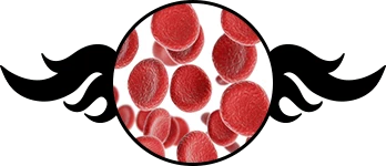 Fast Burn Extreme funziona