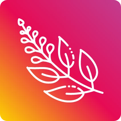 GOAT Stamina composizione