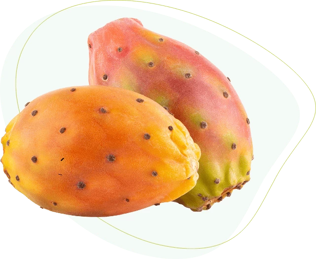 Matcha Extreme composizione