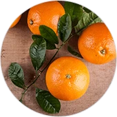 Piperinox metabolismo