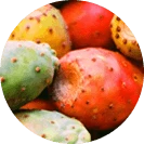 Probiosin Plus se funziona