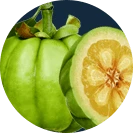 Probiosin Plus Come funziona