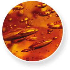 Proflexen composizione