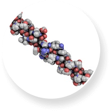 Proflexen Ingredienti