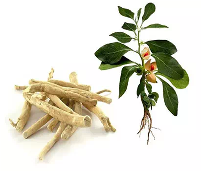 Restilen composizione