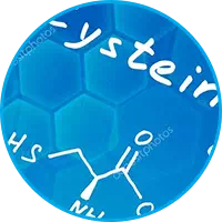 Semaxin composizione