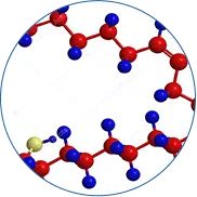 Keto Actives Ingredienti