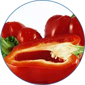 Keto Actives perdita di peso