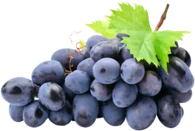 Cardiform Ingredienti