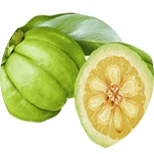 Fast Burn Extreme fat burning