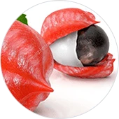 Piperinox weight loss